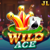 Wild Ace Playtime Store slot